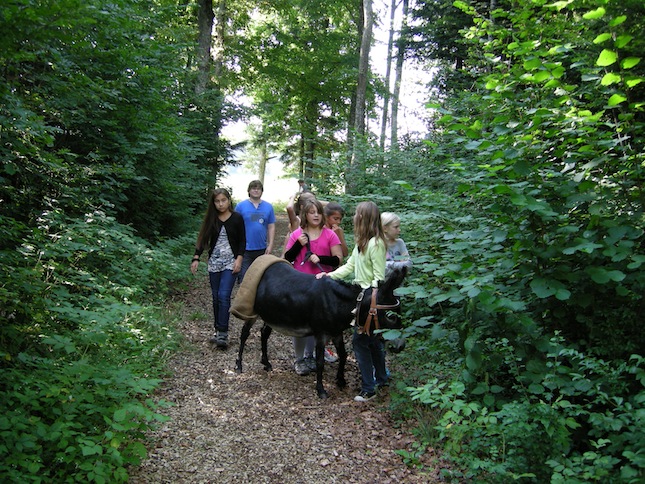 Catéchisme | Camp de cathéchisme à Prêles, 2013